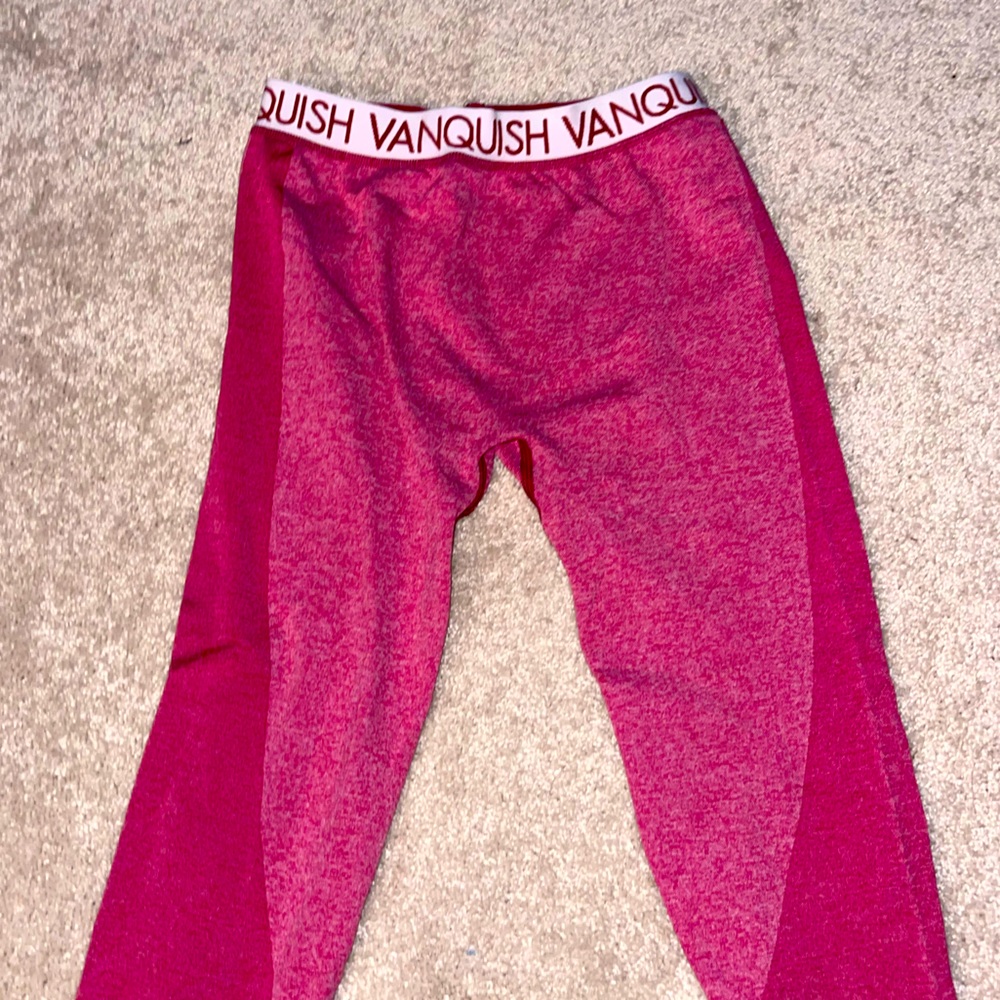 Vanquish Leggings Seamless Pink New